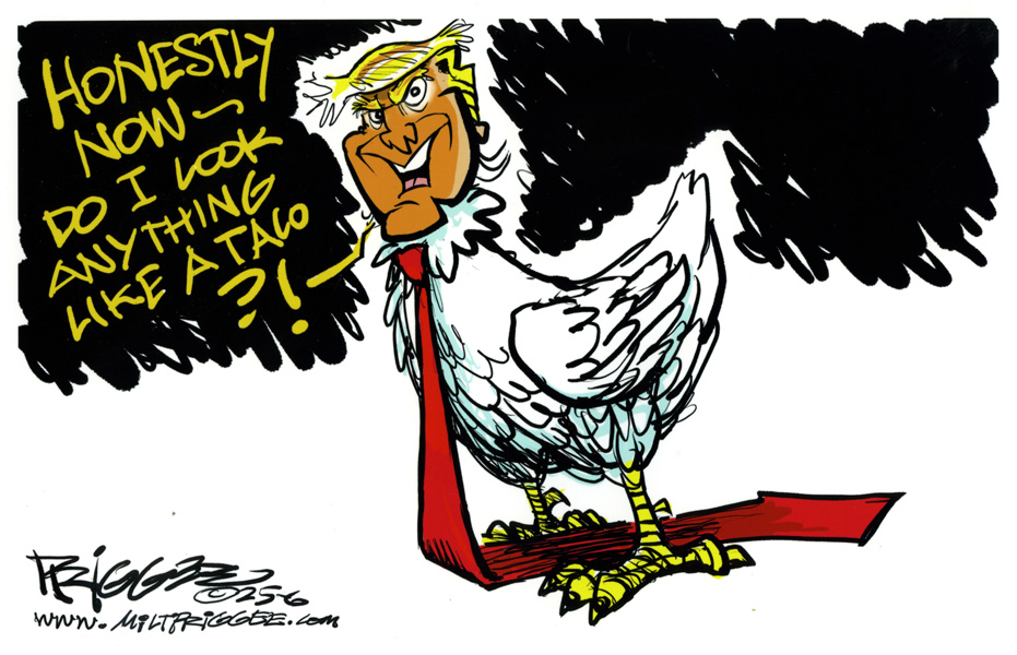 Cartoon 14