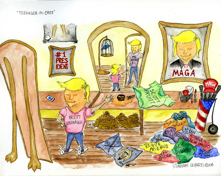 Cartoon 41