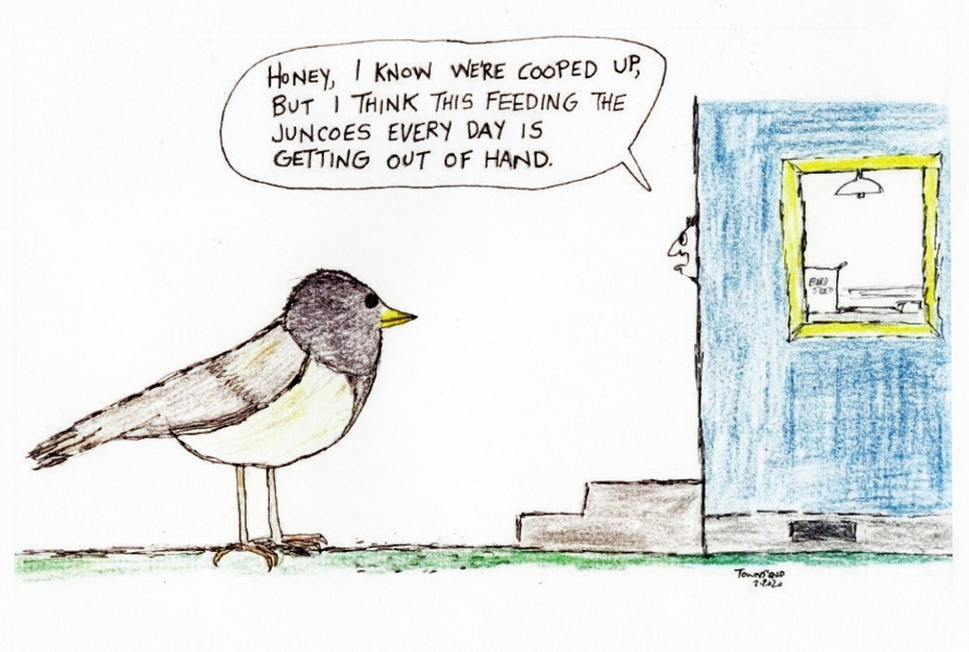 Cartoon 23