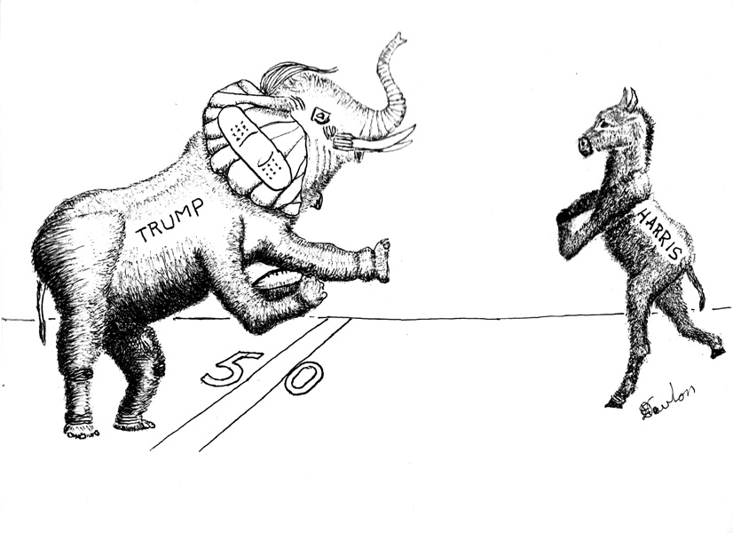 Cartoon 9
